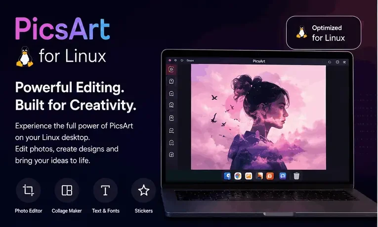 PicsArt photo editing software running on a Linux desktop with creative editing tools and a modern workspace.